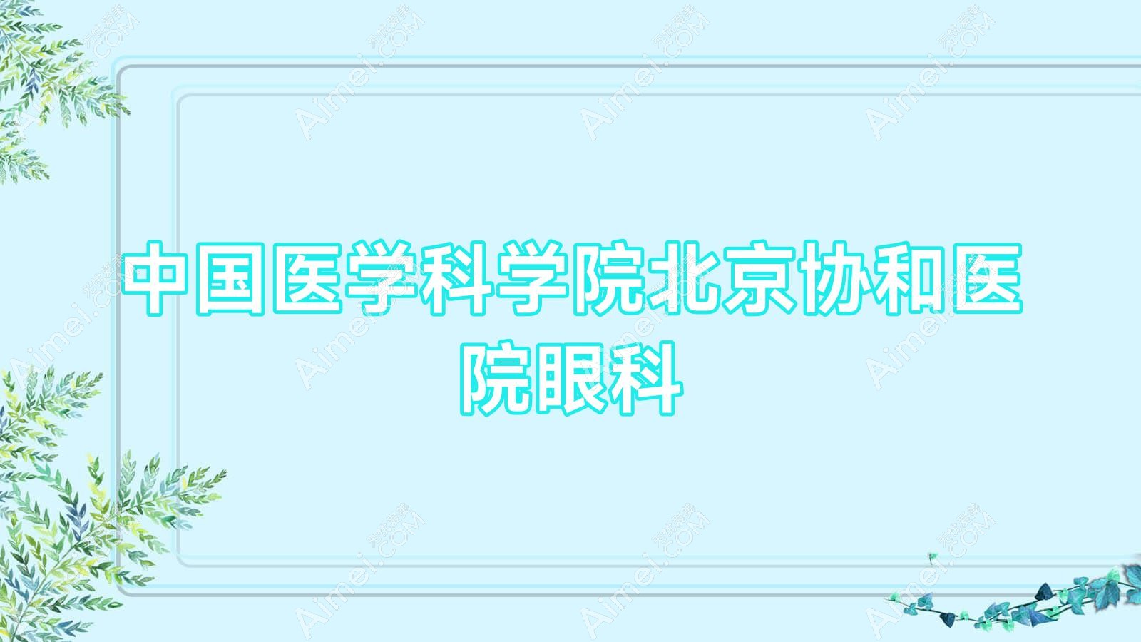 国内医学科学院北京医院眼科