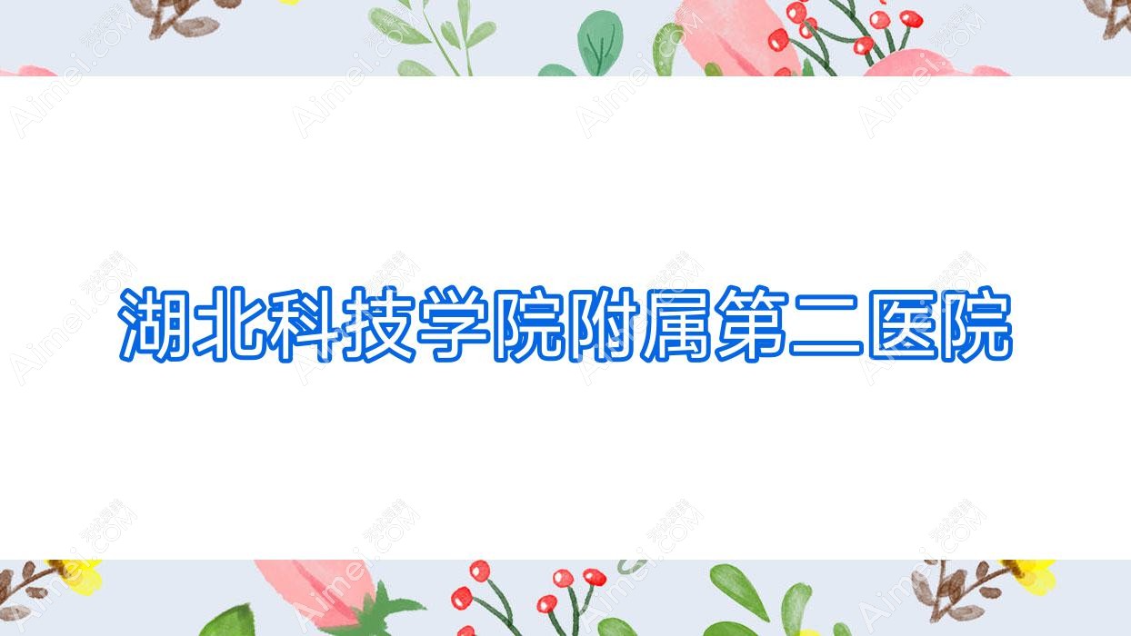 湖北科技学院附属第二医院