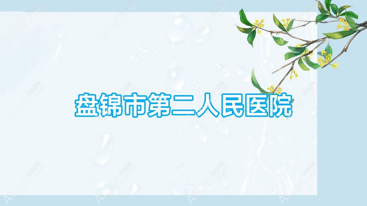 盘锦市第二人民医院