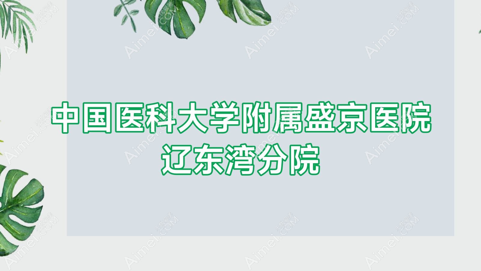 国内医科大学附属盛京医院辽东湾分院