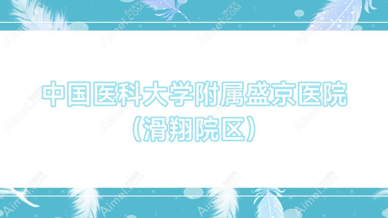 国内医科大学附属盛京医院(滑翔院区) 国内医科大学附属盛京医院(滑翔院区)