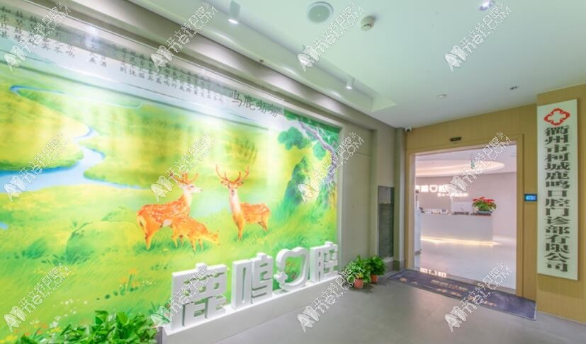 衢州柯城鹿鸣口腔门诊部