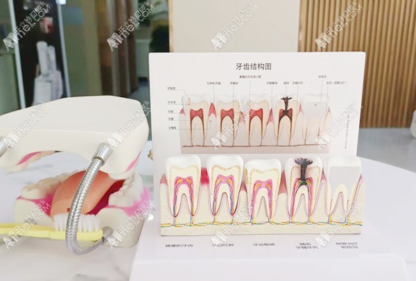 上饶鄱阳泽雅口腔诊所
