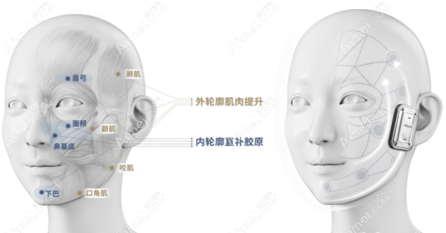 隋志甫医生做面部抗衰的美学原理图 隋志甫医生做面部抗衰的美学原理图