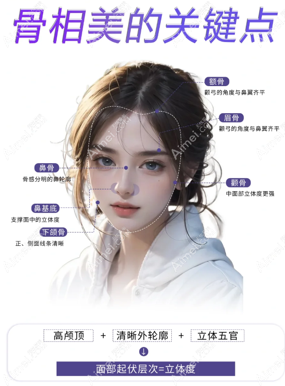 骨相美的关键点www.aimei.com