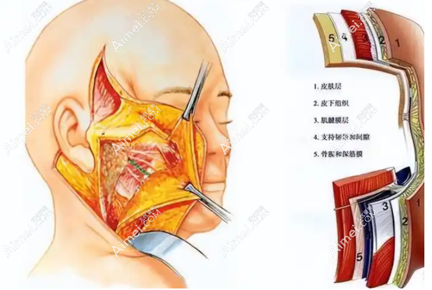 北京联合丽格整形医院aimei.com