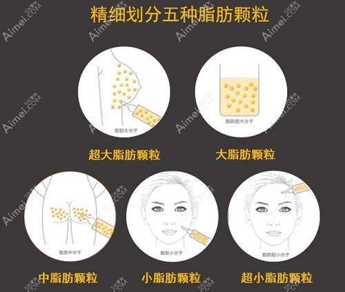 国内自体脂肪隆胸医生排行榜