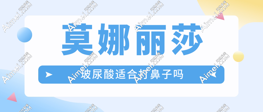 莫娜丽莎玻尿酸适合打鼻子吗