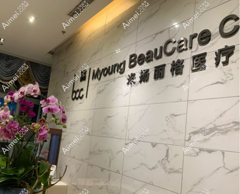 隆鼻示意图