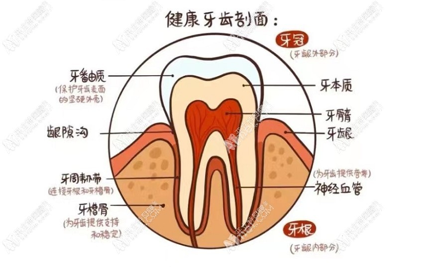 西安临潼付银效口腔诊所