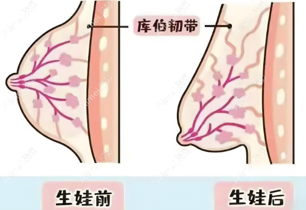 深圳南雅胸整形手术价格表www.aimei.com 深圳南雅胸整形手术价格表www.aimei.com
