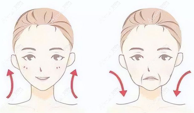 美拉美超声真实测评:真实感受到美拉美超声和美版超声区别,带你看看哪个好?