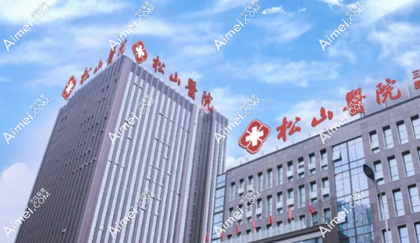 重庆松山医院电话问诊24小时在线！预约医院-网上挂号-获取地址(附免排队攻略)