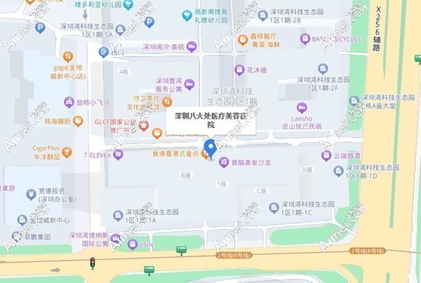 深圳八大处医疗美容医院地址