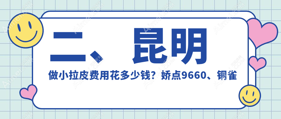 二、昆明做小拉皮费用花多少钱？娇点9660、铜雀台9958、吴氏嘉美8969