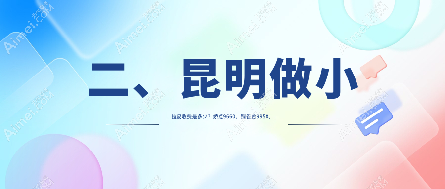二、昆明做小拉皮收费是多少？娇点9660、铜雀台9958、吴氏嘉美8969