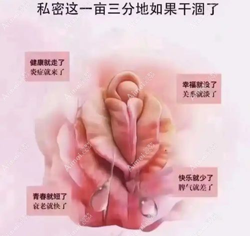 重庆高潮针价格一览表