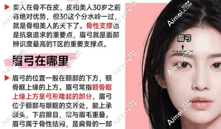 打眉弓 打眉弓