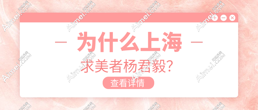 为什么上海求美者杨君毅？
