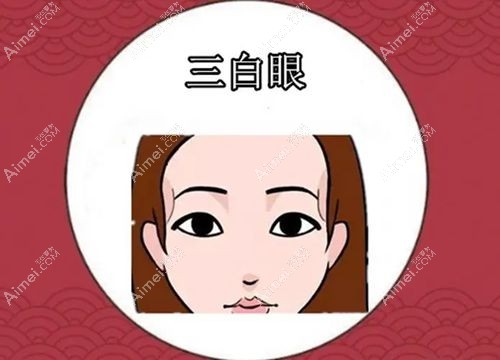 杜园园修复价目表2025