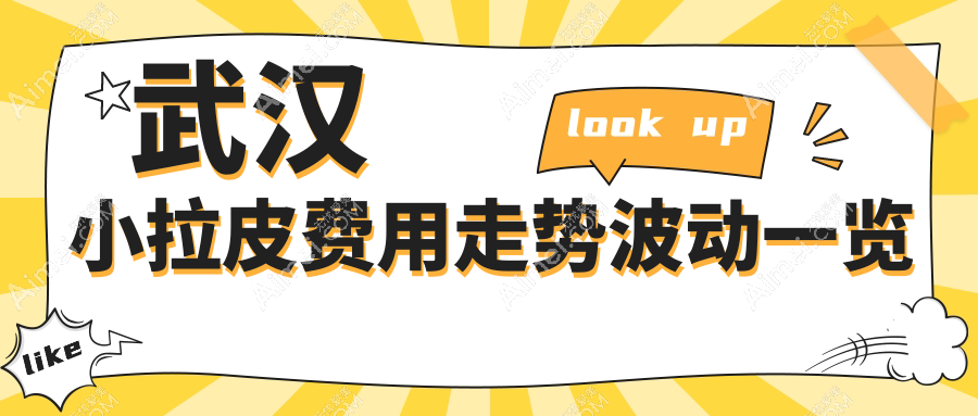 武汉小拉皮费用走势波动一览