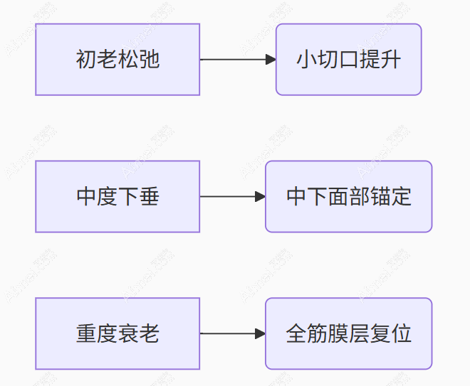 衰老等级 衰老等级
