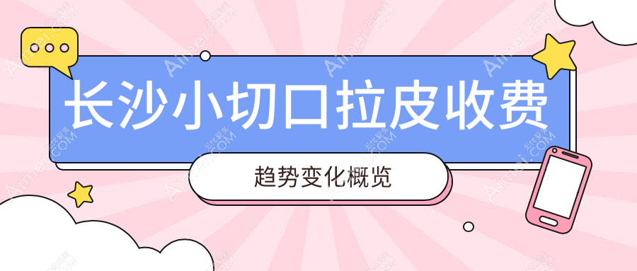 长沙小切口拉皮收费趋势变化概览