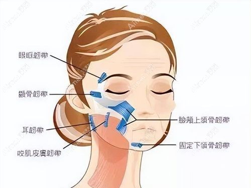 我國大拉皮除皺排行前 10 強(qiáng)整體情況
