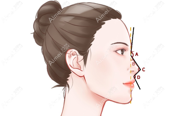 做鼻子