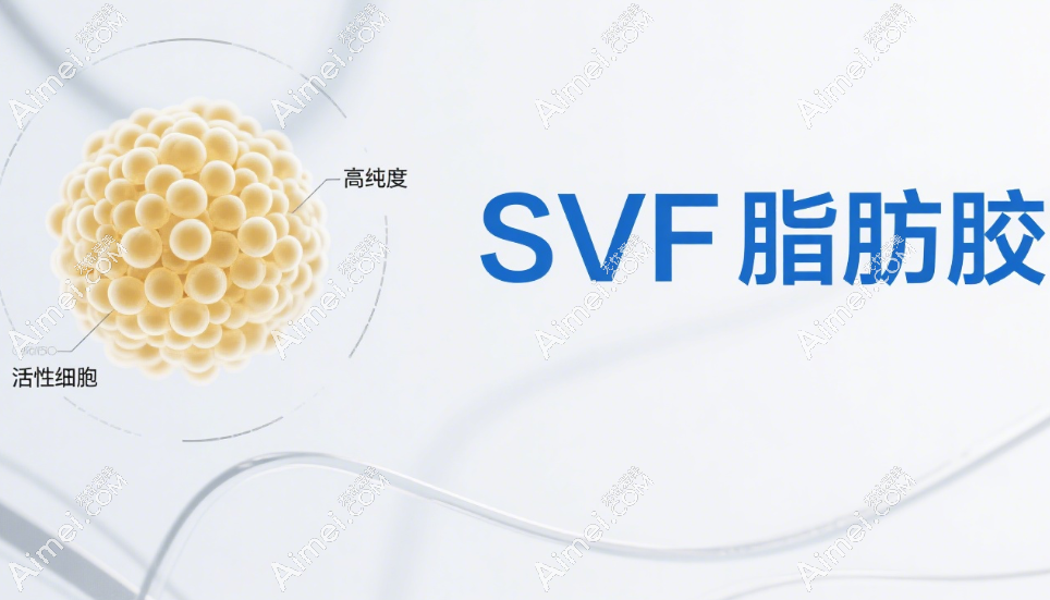 面剖萎缩填充术SVF脂肪胶 面剖萎缩填充术SVF脂肪胶