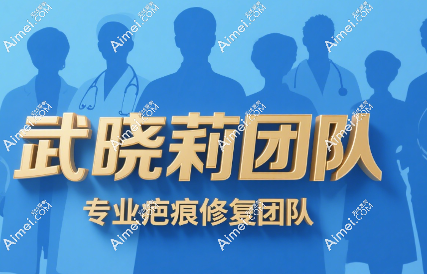 武晓莉团队成员名单