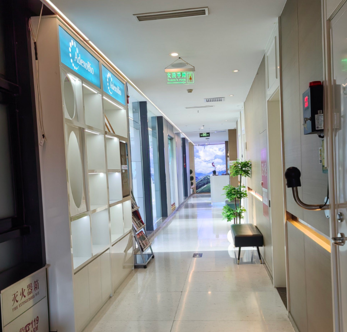 北京彤美眼修复走廊