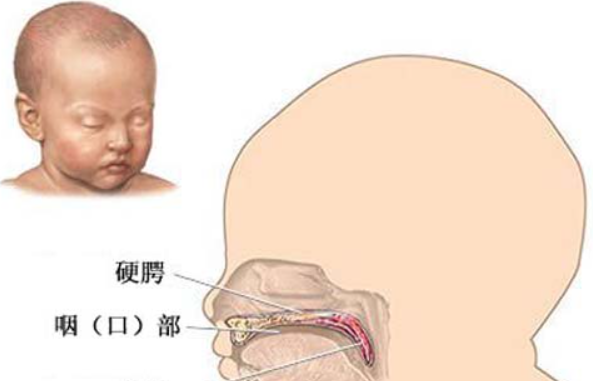 口腔颌面外科的服务优势