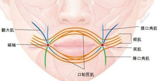人中缩短李泽做红唇外切怎么样