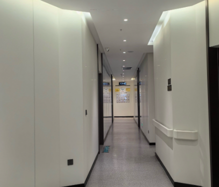 朱红振医生技术特点，有何独特之处？