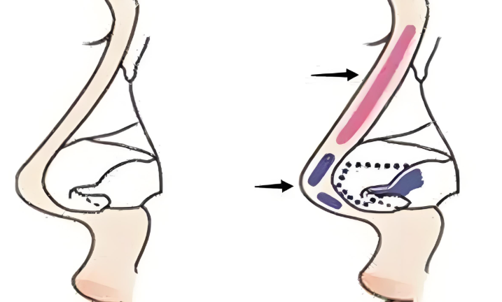 特色项目：丰富多样，个性定制