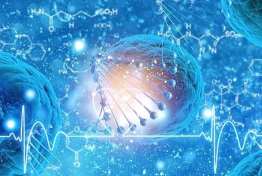 王洪取鼻子异物收费价格不贵