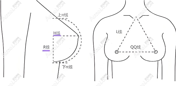 定制个性化美学方案 定制个性化美学方案