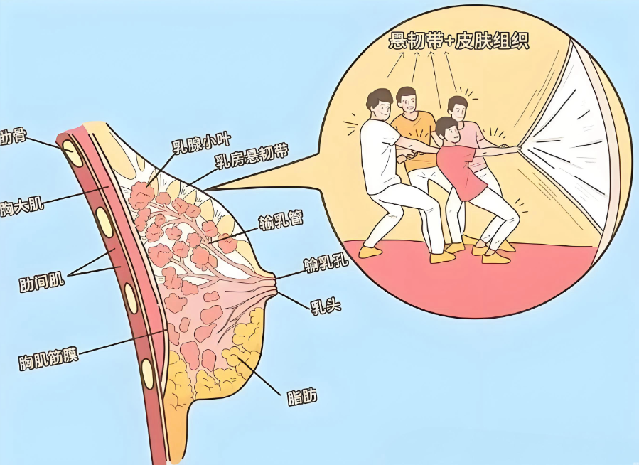 曾立和唐志荣隆胸如何选