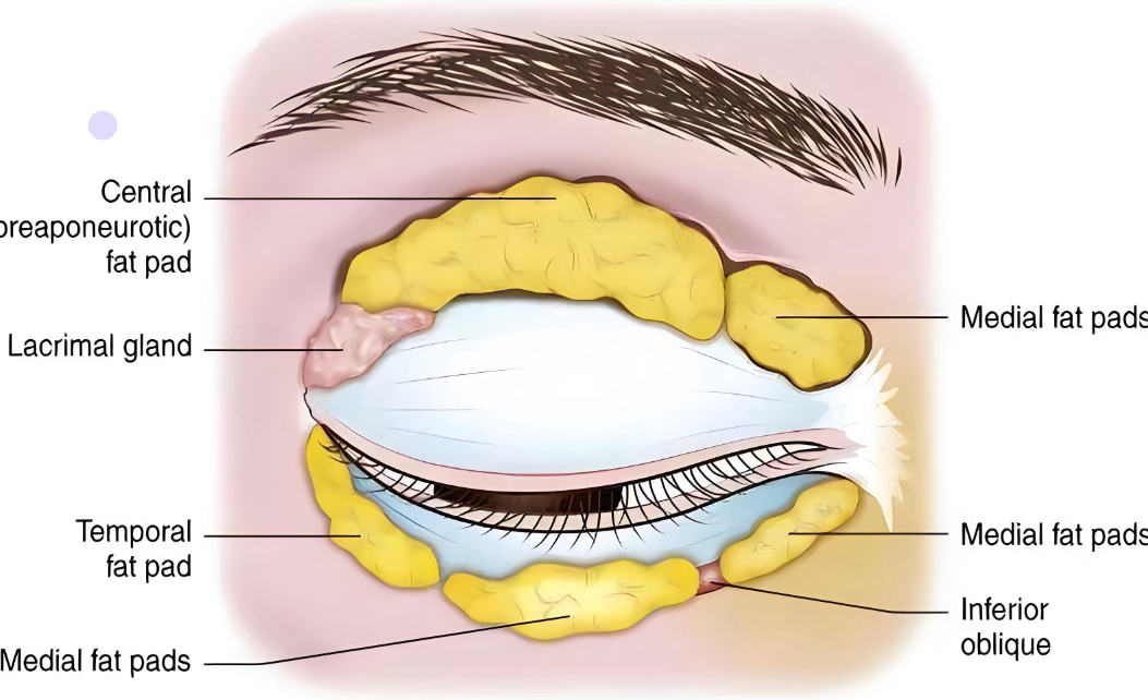 广州冯传波www.aimei.com