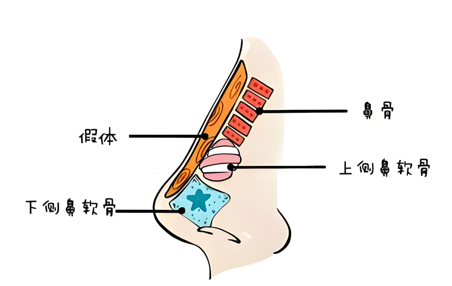 东莞鼻综合推荐医院排行榜:做鼻子必看!本地人公认的前十医院,实力一目了然!