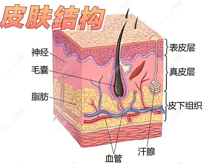 个性化方案 个性化方案