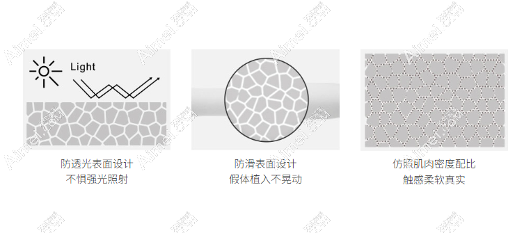 Gentlewoman鼻假体 Gentlewoman鼻假体