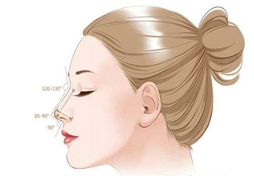 张辉赫本鼻优缺点分析指南:优点自然妈生感强,缺点对医生雕刻功底要求极高,非张辉本人做易翻车