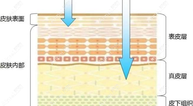 水光作用示意图 水光作用示意图