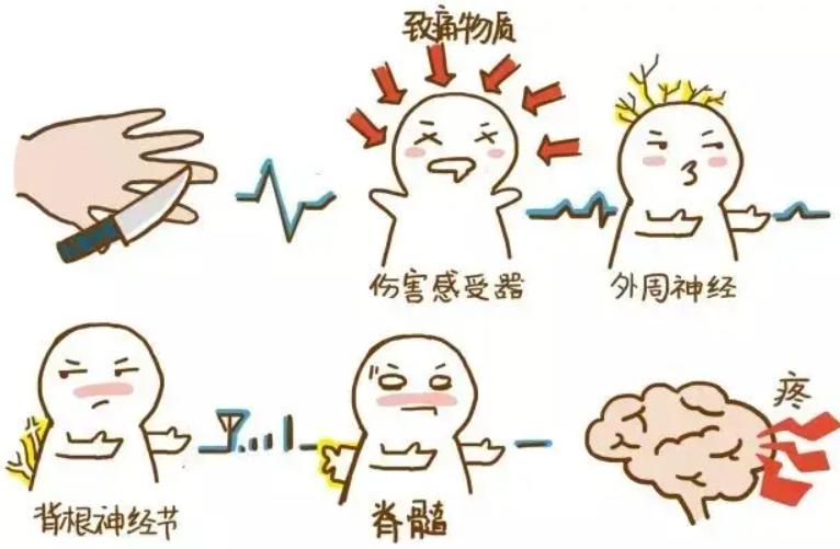 治疗富贵包中医手法