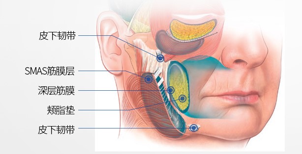 北京加减美黄寅守中下面部提升的核心技术