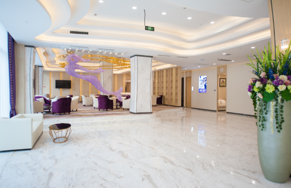 武汉美莱作为刘莹的执业机构