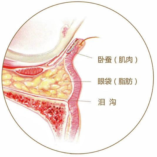 上海爱尚丽格眼修复技术优势