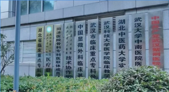 武汉科技大学紫荆医院